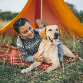 Dog with a girl on grass in front of an orange tent