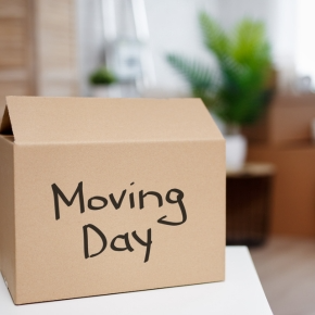 Cardboard box with moving day written on it with plants in background