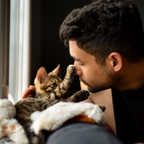 Man stroking a kitten with their paw on his nose