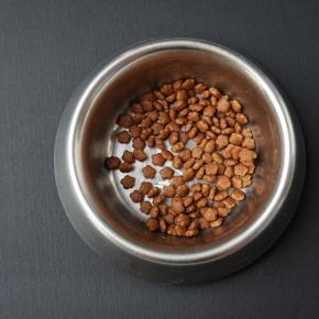 A metal bowl of dry pet food